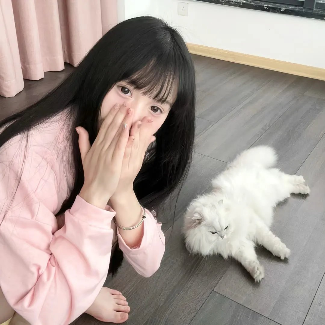 对不起我磕到你了